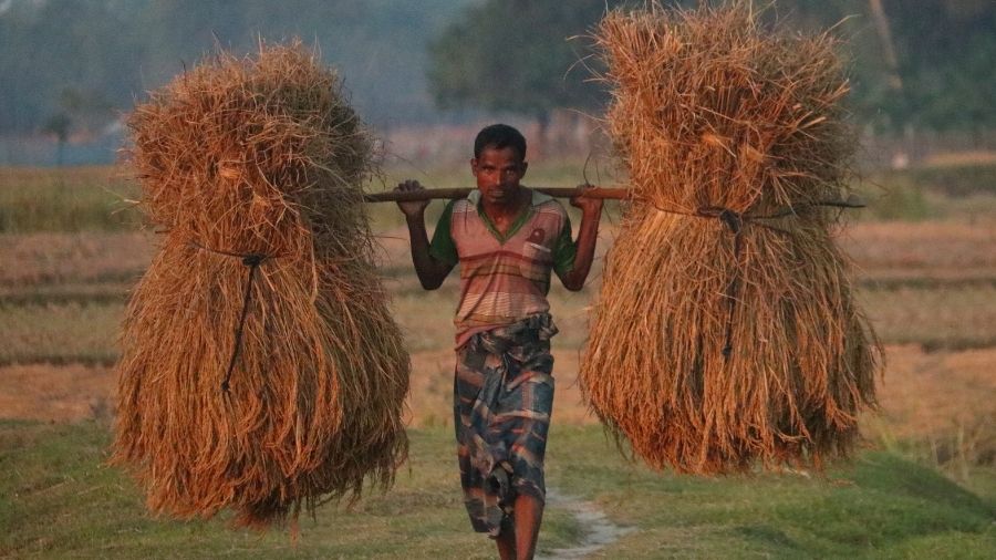 দিনের শেষে